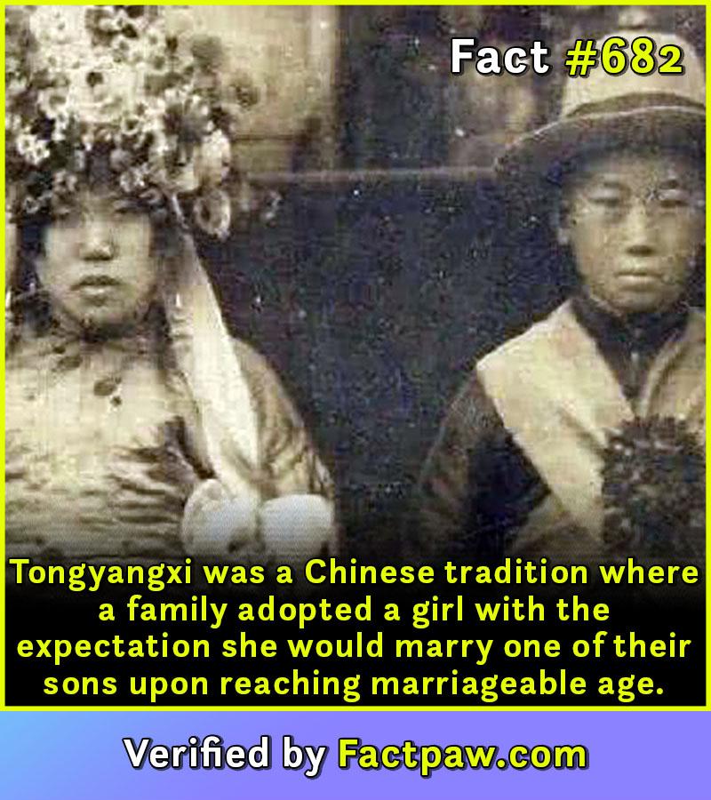 Tongyangxi was a Chinese tradition where a family adopted a girl with the expectation she would marry one of their sons upon reaching marriageable age.