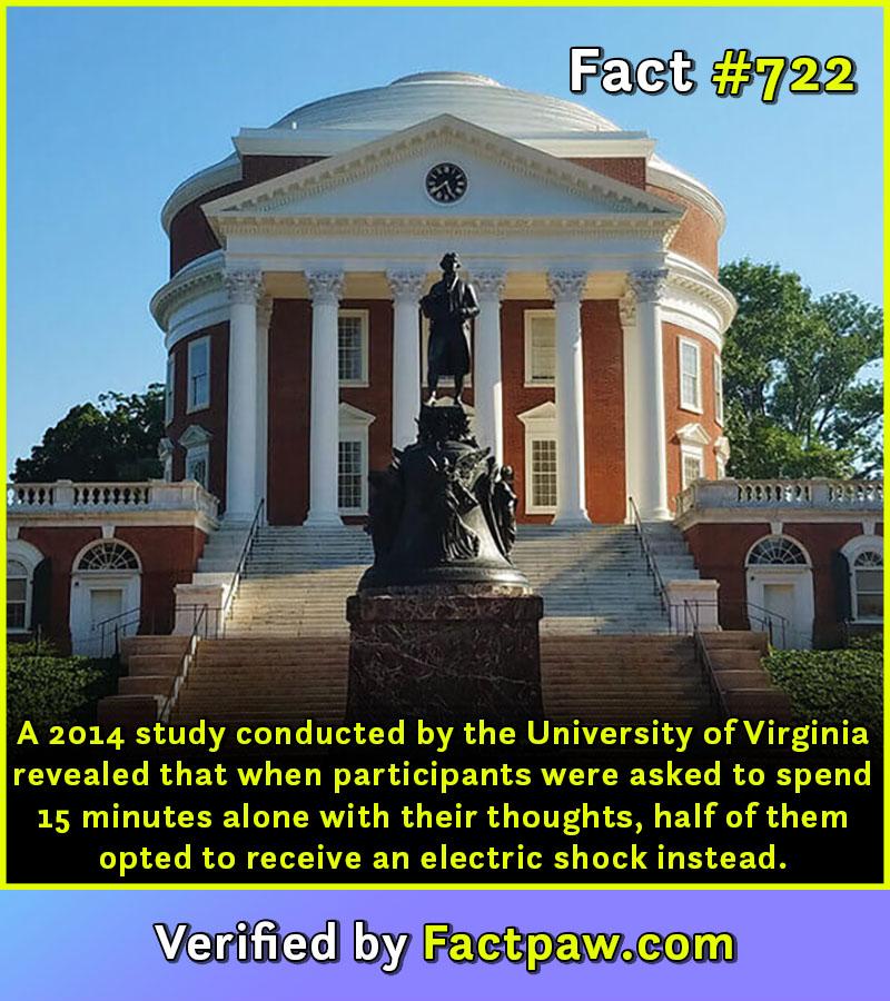 A 2014 study conducted by the University of Virginia revealed that when participants were asked to spend 15 minutes alone with their thoughts, half of them opted to receive an electric shock instead.