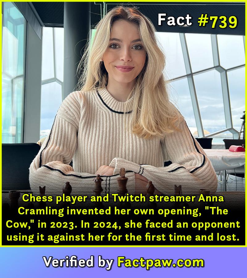 Chess player and Twitch streamer Anna Cramling invented her own opening, "The Cow," in 2023. In 2024, she faced an opponent using it against her for the first time and lost.