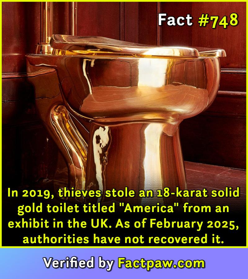 In 2019, thieves stole an 18-karat solid gold toilet titled "America" from an exhibit in the UK. As of February 2025, authorities have not recovered it.